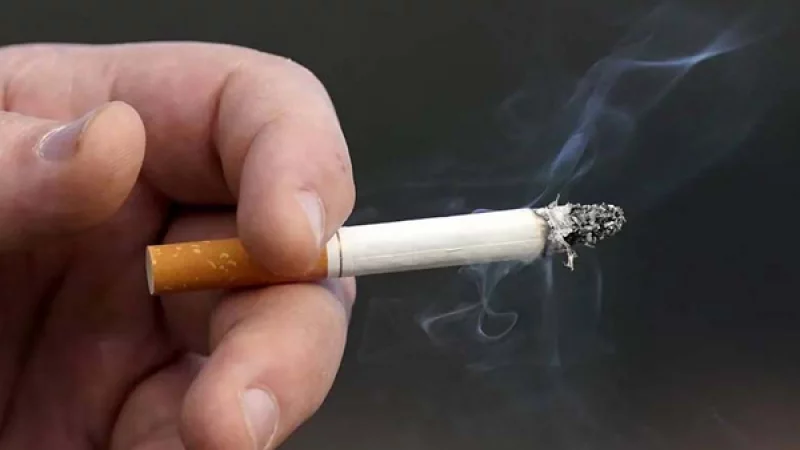 শহরের চেয়ে মফস্সলে বেশি মানুষ তামাক সেবন করছে