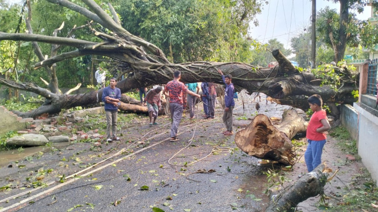 কালবৈশাখী ঝড়ে গাছ উপড়ে যান চলাচল ব্যাহত