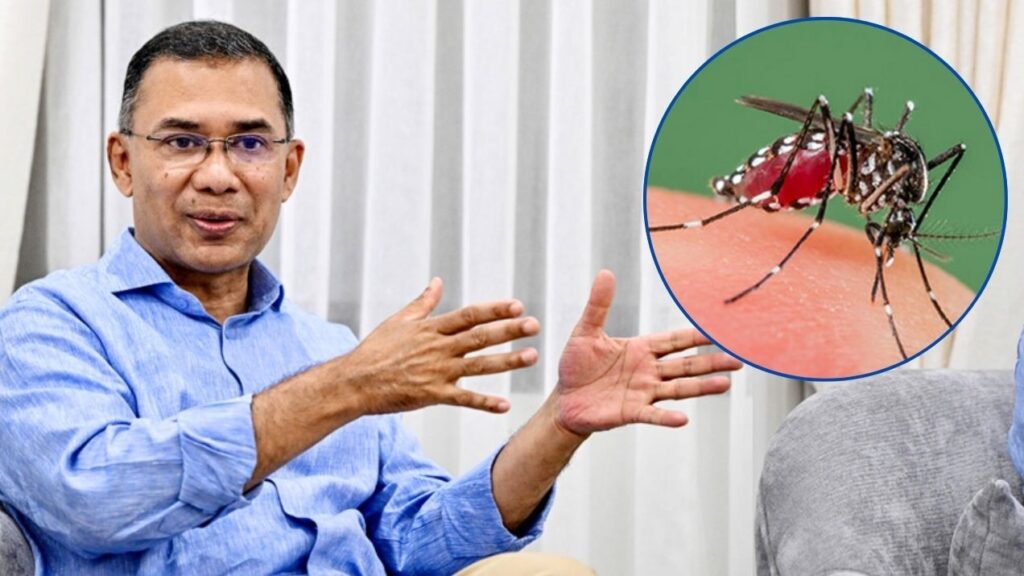 মশা মারা শিখতে যুক্তরাষ্ট্রে নয়, ডোবার পাশে বসতে বললেন প্রধানমন্ত্রী