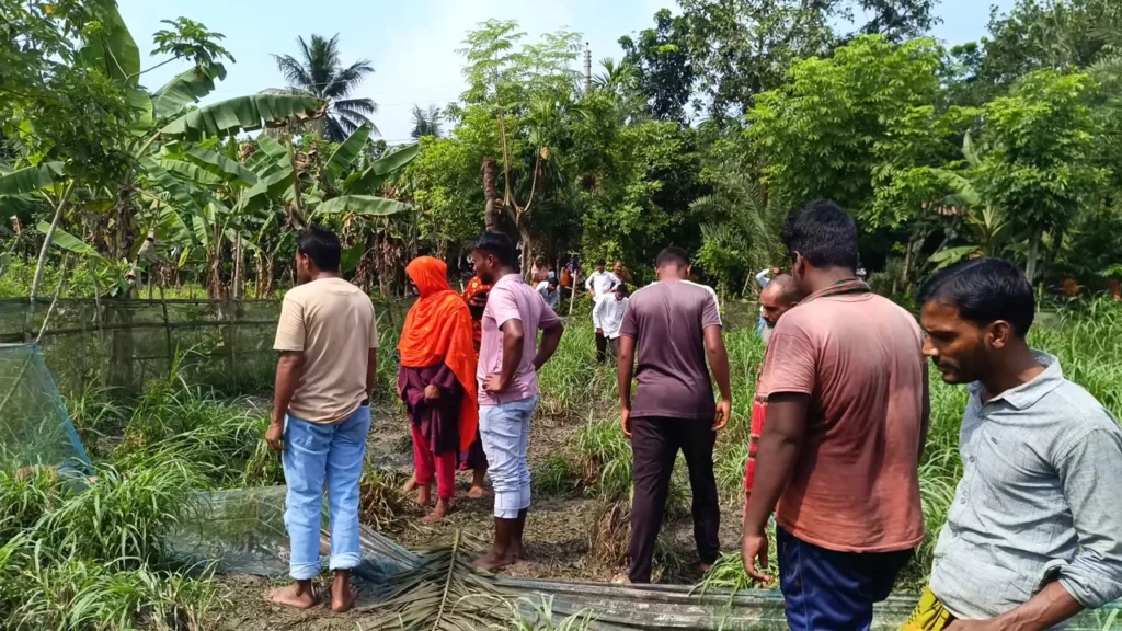 ঝিনাইদহে বিদ্যুতের তার চুরি করতে গিয়ে যুবকের মৃত্যু